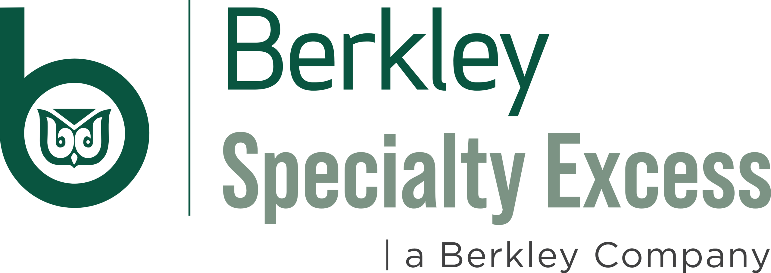 Berkley Specialty Excess logo